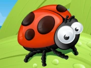 Ladybug Slide Online Puzzle Games on NaptechGames.com