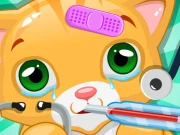 Little Cat Doctor Pet Vet Game Online Arcade Games on NaptechGames.com