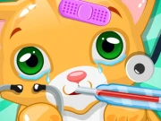 Little Cat Doctor Online Girls Games on NaptechGames.com