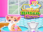 Little Princess Kitten Rescue Online Dress-up Games on NaptechGames.com