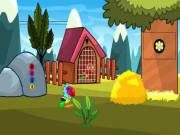 Macaw Couple Escape Online Puzzle Games on NaptechGames.com