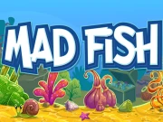 Mad Fish Online Arcade Games on NaptechGames.com
