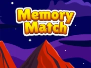 Master Memory Match Online Puzzle Games on NaptechGames.com