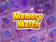 Match Memory Online puzzles Games on NaptechGames.com
