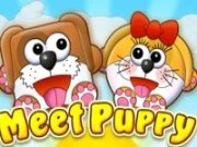 Meet Puppy Online Casual Games on NaptechGames.com