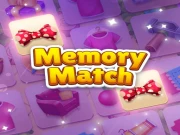 Memory Match Online Puzzle Games on NaptechGames.com