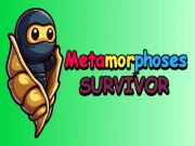 Metamorphosis Survivor Online puzzles Games on NaptechGames.com