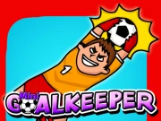 Mini Goalkeeper Online Sports Games on NaptechGames.com