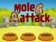 Mole Attack Online arcade Games on NaptechGames.com