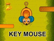 Mouse Key Online Adventure Games on NaptechGames.com