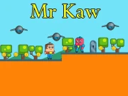 Mr Kaw Online Arcade Games on NaptechGames.com