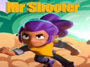 Mr Shooter New Online Puzzle Games on NaptechGames.com