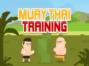 Muay Thai Training Online Casual Games on NaptechGames.com