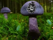 Mushroom Forest Adventure Online Puzzle Games on NaptechGames.com