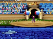 My Dolphin Show 5 Online Casual Games on NaptechGames.com