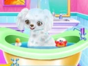 My New Poodle Friend - Pet Care Game Online Girls Games on NaptechGames.com