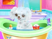 My New Poodle Friend Online Girls Games on NaptechGames.com