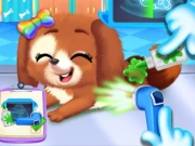 Newborn Puppy Dog Salon Online Girls Games on NaptechGames.com