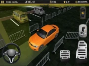 Night Car Parking Simulator Online Simulation Games on NaptechGames.com