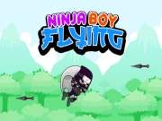 Ninja Boy Flying Online arcade Games on NaptechGames.com