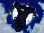 Ninja Defender Online Puzzle Games on NaptechGames.com