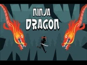 Ninja Dragon Online strategy Games on NaptechGames.com