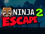 Ninja Escape 2 Online Boys Games on NaptechGames.com
