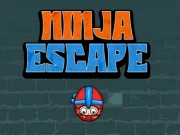 Ninja Escape Online arcade Games on NaptechGames.com