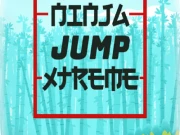 Ninja Jump Xtreme Online puzzles Games on NaptechGames.com