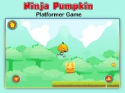 Ninja Pumpkin Online Adventure Games on NaptechGames.com