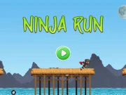 Ninja Run Adventure Online Arcade Games on NaptechGames.com