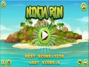 Ninja Run HTML 5 Online Adventure Games on NaptechGames.com