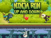 Ninja Run Up and Down Online Arcade Games on NaptechGames.com