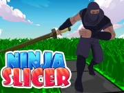 Ninja Slicer Online Puzzle Games on NaptechGames.com