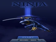 NinjaDash Online Casual Games on NaptechGames.com