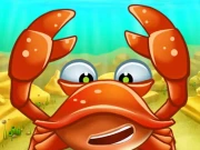 Ocean Online Puzzle Games on NaptechGames.com