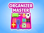 Organizer Master Online arcade Games on NaptechGames.com
