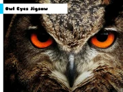 Owl Eyes Jigsaw Online Puzzle Games on NaptechGames.com