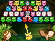 Owl Shooter Online Puzzle Games on NaptechGames.com