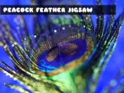 Peacock Feather Jigsaw Online Puzzle Games on NaptechGames.com