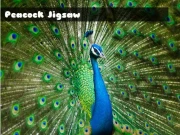 Peacock Jigsaw Online Puzzle Games on NaptechGames.com