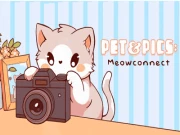 Pet&Pics Meowconnect Online puzzles Games on NaptechGames.com
