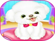 Pets Day Care Pro Online Arcade Games on NaptechGames.com