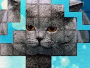 PicPu - Cat Puzzle Online Puzzle Games on NaptechGames.com