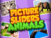 Picture Slider Animals Online Casual Games on NaptechGames.com