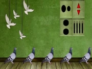 Pigeon Escape 2 Online Puzzle Games on NaptechGames.com