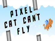 Pixel Cat Can t Fly Online Casual Games on NaptechGames.com