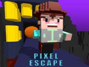 Pixel Escape Online Adventure Games on NaptechGames.com