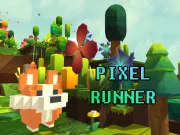 Pixel Runner Online Agility Games on NaptechGames.com