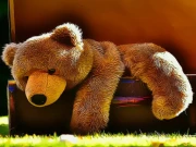 Plush Teddy Bear Online Puzzle Games on NaptechGames.com
